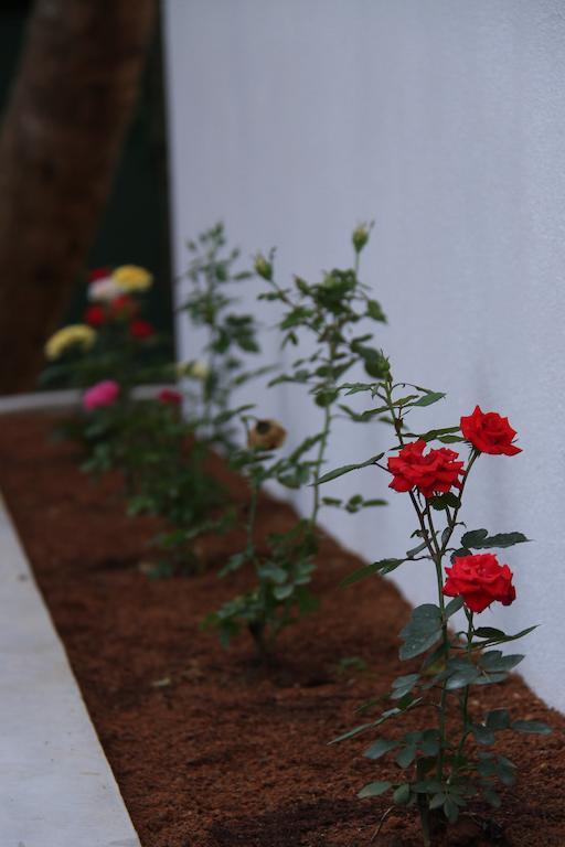 Villa Dineha Hikkaduwa Esterno foto